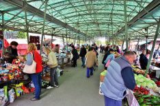 green market_palic_4